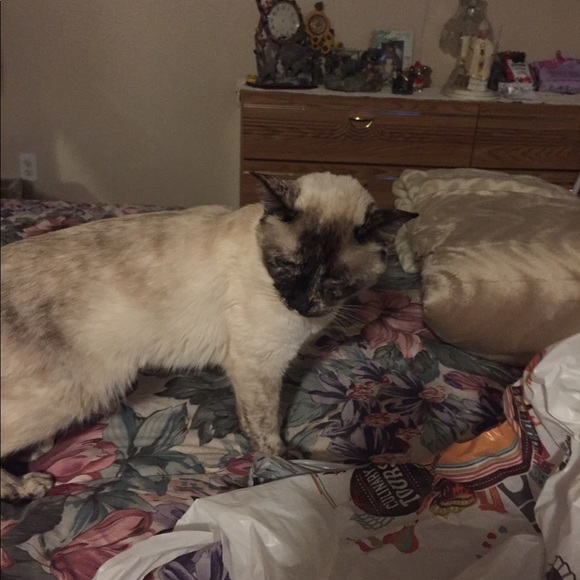 Meet your Posher, Carole - Picture 2 of 4